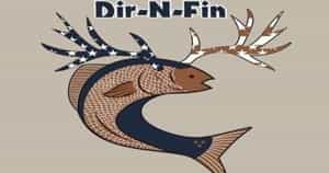 Dir-N-Fin